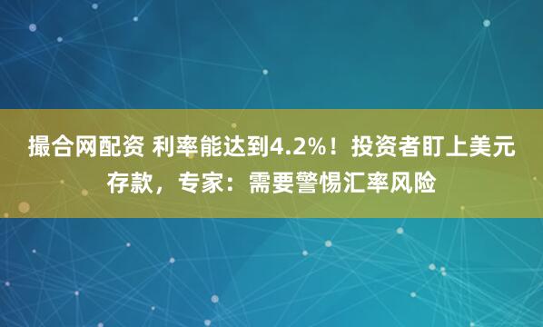 撮合网配资 利率能达到4.2%！投资者盯上美元存款，专家：需要警惕汇率风险