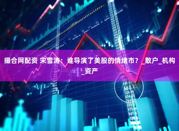 撮合网配资 宋雪涛：谁导演了美股的情绪市？_散户_机构_资产