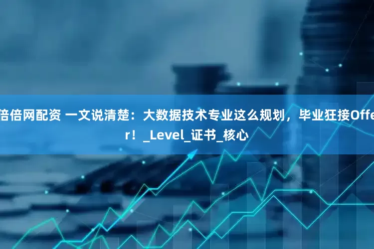 倍倍网配资 一文说清楚：大数据技术专业这么规划，毕业狂接Offer！_Level_证书_核心