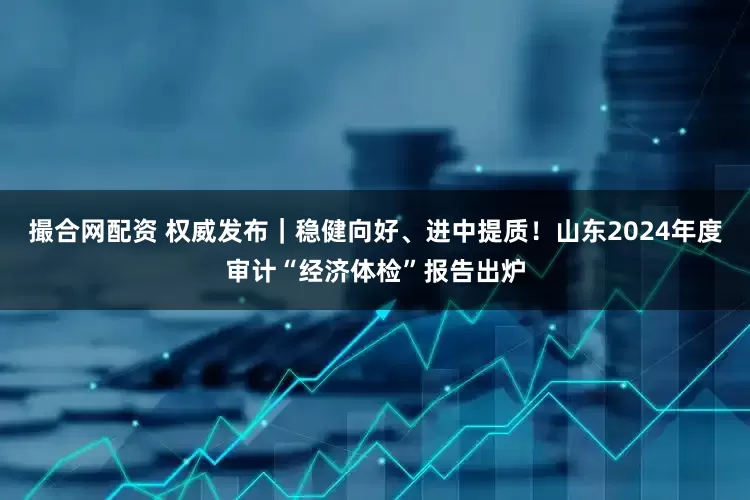 撮合网配资 权威发布｜稳健向好、进中提质！山东2024年度审计“经济体检”报告出炉