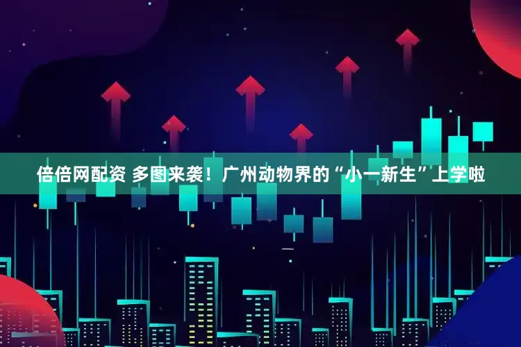 倍倍网配资 多图来袭！广州动物界的“小一新生”上学啦