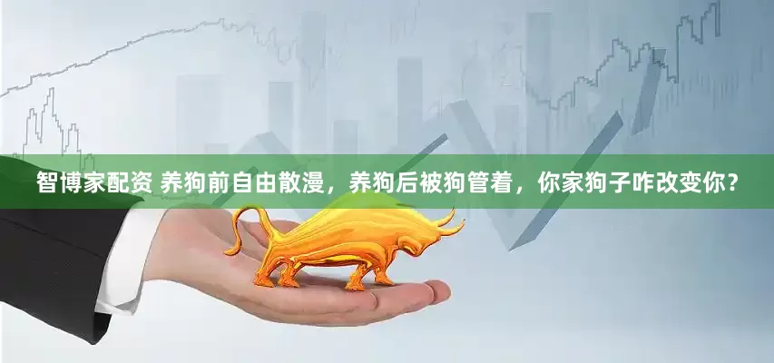 智博家配资 养狗前自由散漫，养狗后被狗管着，你家狗子咋改变你？