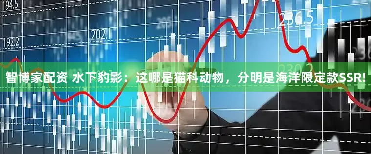 智博家配资 水下豹影：这哪是猫科动物，分明是海洋限定款SSR!