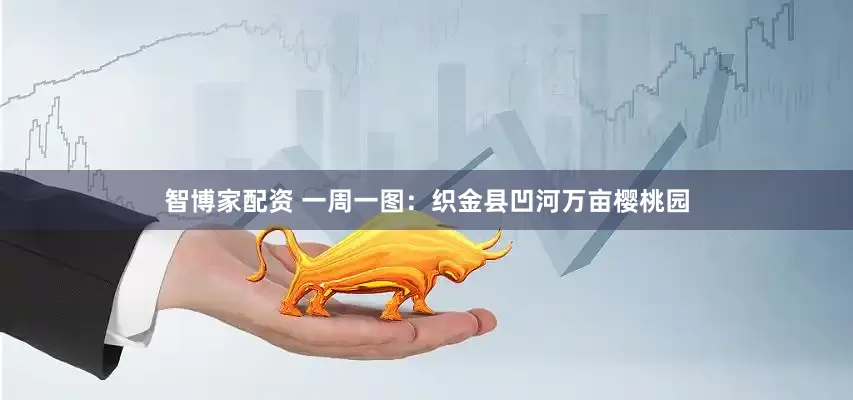 智博家配资 一周一图：织金县凹河万亩樱桃园